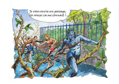 les ronces de la becassine